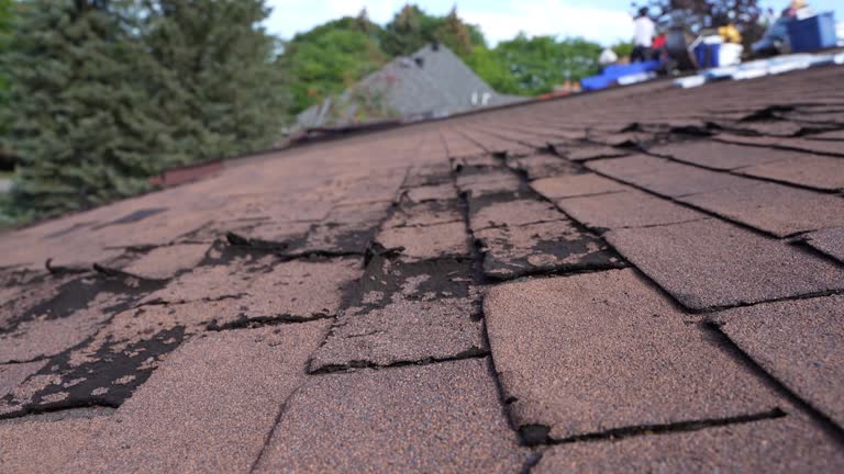 Best Asphalt Shingles Roofing  in Weston, OH