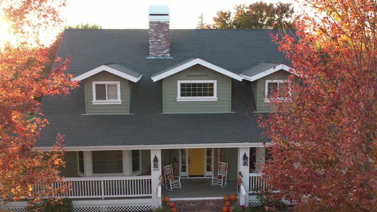 Best Roof Moss and Algae Removal  in Weston, OH
